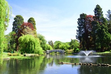 Victoria Bc, Kanada'daki Beacon Hill parkının ikonik manzarası ve manzarası eski taş köprü ve kaplumbağalarla dolu bir kütük tüm ziyaretçileri bekliyor.