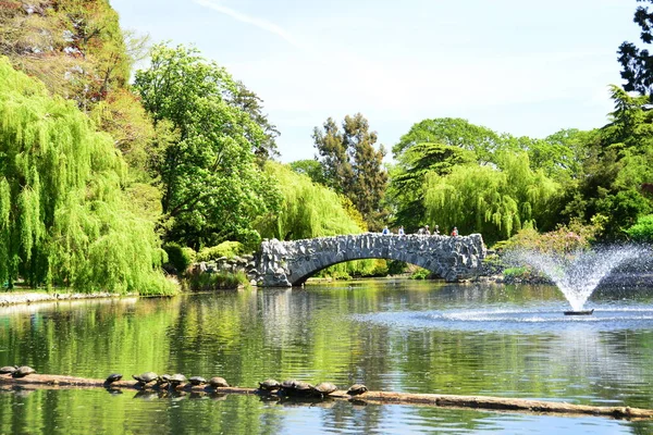 カナダ ビクトリアBcのビーコンヒル公園の象徴的な風景と風景 古い石の橋と亀の完全な丸太は すべての訪問者を待っています — ストック写真