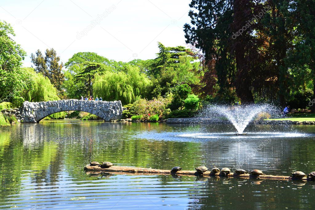 The iconic landscape and scenery of Beacon Hill park in Victoria BC,Canada.The old stone bridge and a log full of turtles awaits all visitors.