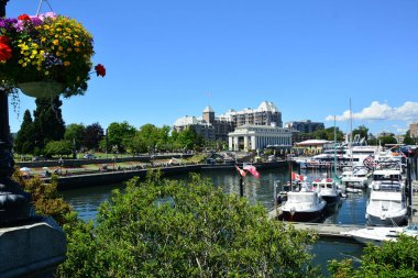 Victoria Bc,Kanada,30 Haziran 2019.Victoria'nın güzel iç limanı birçok kişiyi cezbediyor.Victoria'yı ziyaret edin ve iç limanın tadını çıkarın,geçitleri,restoranları ve buskers.Ada mon'una gel ve tadını çıkarın.  