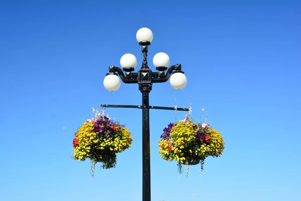 Classic Old Style Lamp Posts Hanging Baskets Victoria Canada Stock Photo
