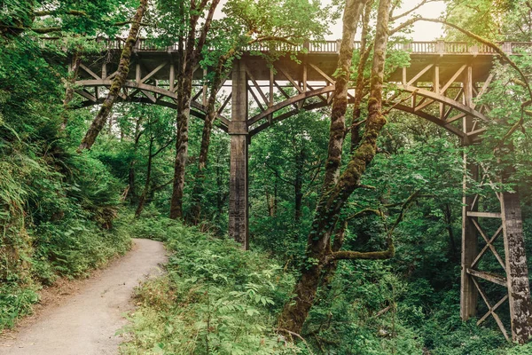 Camino Mágico Del Bosque Verano Pasando Por Debajo Del Puente — Foto de Stock