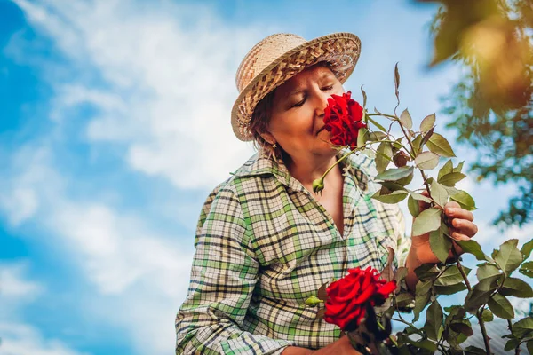 Старшая Женщина Нюхает Цветы Саду Пожилая Женщина Отставке Наслаждается Хобби — стоковое фото