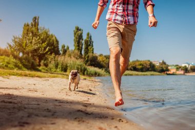 Nehir ustanın ile oynayan pug köpek. Çalışan ve suda eğlenmek mutlu köpek yavrusu. Köpek pursueing adam açık havada.