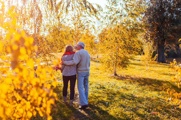 Senior couple walking in autumn forest. Middle-aged man and woman hugging and chilling outdoors. People talking and enjoying nature