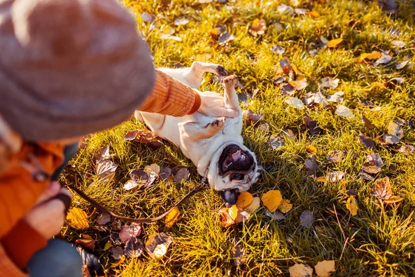 Maestro Che Gioca Con Cane Carlino Nel Parco Autunnale Buon — Foto Stock