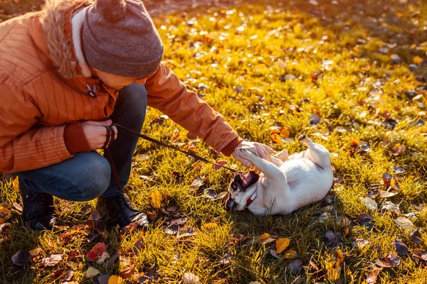 Maître Jouant Avec Chiot Carlin Dans Parc Automne Chiot Heureux — Photo