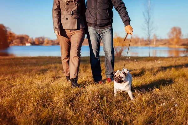 Seniorenpaar Spaziert Mit Mops Herbstpark Fluss Glückliche Mann Und Frau — Stockfoto