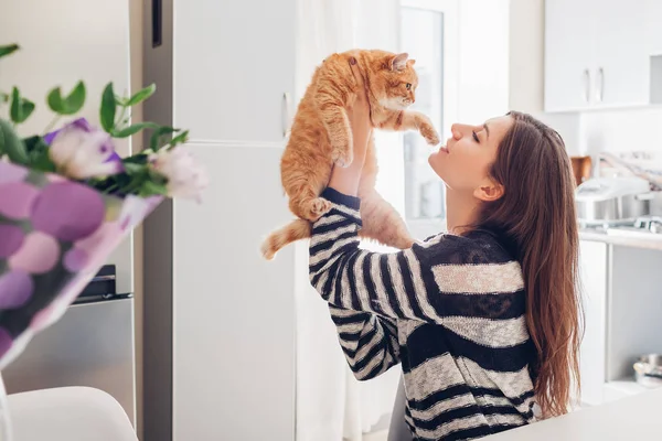 Young woman playing with cat in kitchen at home. Girl holding and red raising cat. Happy master having fun with her pet