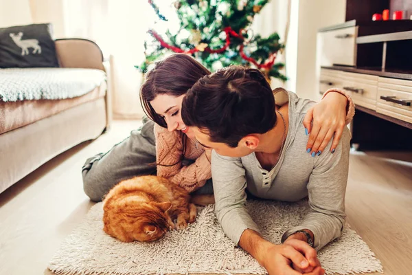 İki Noel ağacı tarafından yalan ve evde kedi ile oynarken aşık. Mutlu bir adam ve kadın rahatlatıcı