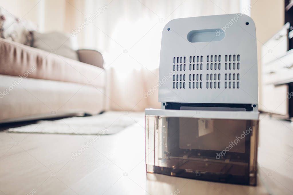 Process of changing water container of dehumidifier at home. Dampness in apartment. Modern technology