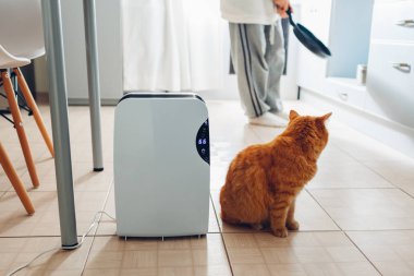 Dehumidifier değmek kapı aynası, nem göstergesi, uv lambası, Ionizer hava, konteyner işleri evde yemek ile kedi kadın ise su. Hava kurutma makinesi