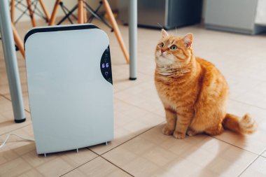 Dehumidifier değmek kapı aynası, nem göstergesi, uv lambası, Ionizer hava, konteyner işleri evde kedi tarafından mutfak oturma sırasında su. Hava kurutma makinesi