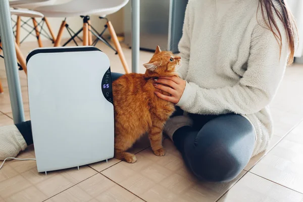 표시기 Dehumidifier Ionizer에 컨테이너 집에서 고양이와 — 스톡 사진