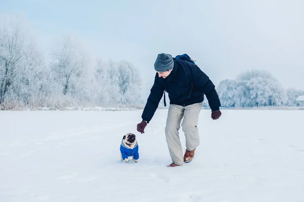 帕格狗和他的主人在雪地上散步 穿着冬衣的小狗 动物的衣服 — 图库照片