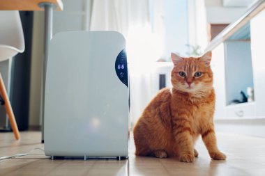 Dehumidifier değmek kapı aynası, nem göstergesi, uv lambası, Ionizer hava, konteyner işleri evde kedi tarafından mutfak oturma sırasında su. Hava kurutma makinesi