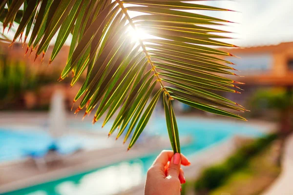 Woman Holding Palm Leaf Hotel Yard Swimming Pool Background Sunset — Stock Photo, Image