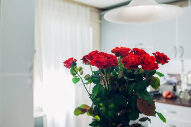 Kırmızı gül buketi mutfak yaptı. Kadın için bir sürpriz. Gün Sevgililer veya kadın. Modern mutfak tasarımı