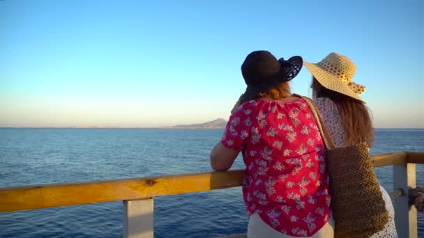 Mother Adult Daughter Admiring Sea Landscape Having Fun Pier View — Stock Video