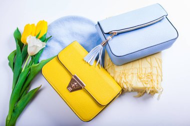 Bayan giyim ve aksesuarları ile Lale bahar. Şık çanta bere, atkı ve çiçekler. Moda