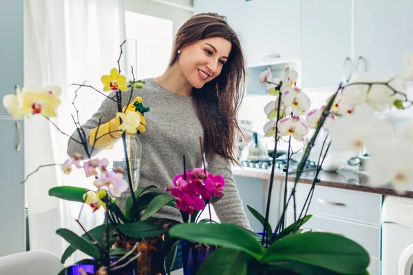 Женщина брызгает водой на орхидеи на кухне. Домохозяйка заботится о домашних растениях и цветах — стоковое фото