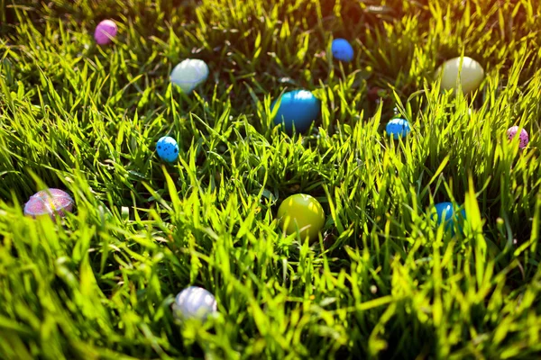 Happy Easter. Easter eggs hidden in spring grass.