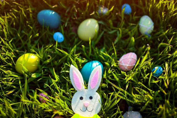 Happy Easter. Easter eggs hidden in spring grass. Basket bunny shaped. Holiday decoration — ストック写真