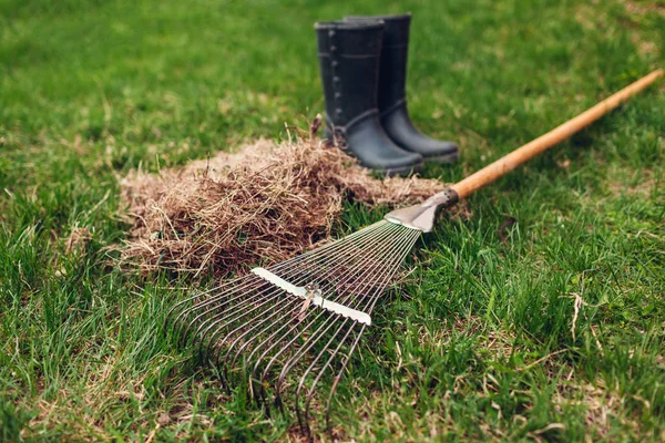 Cleaning lawn from dry grass with a rake in spring garden. Heap of grass with boots and tool