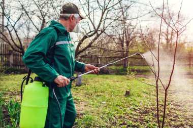 Çiftçi bahar bahçesinde böceklere karşı manuel pestisit püskürtücü ile ağaç püskürtme. Tarım ve bahçecilik