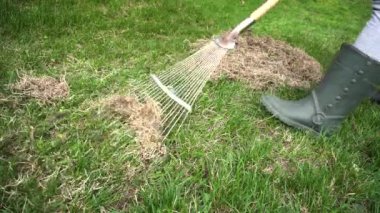 Çiftçi bahar bahçesinde bir tırmık ile kuru çim çim temizlik. Tarım ve tarım kavramı