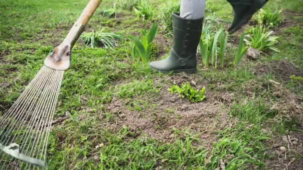 Agricultor Limpieza Césped Hierba Seca Con Rastrillo Jardín Primavera Concepto — Vídeos de Stock