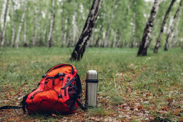 Plecak turystyczny, Termos z herbatą w wiosennym lesie. Podróże i Sport — Zdjęcie stockowe