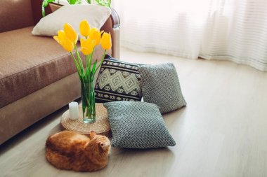 Modern oturma odası iç detayları. Tatami saman yastık yerde çiçek ve yastık ile dekore