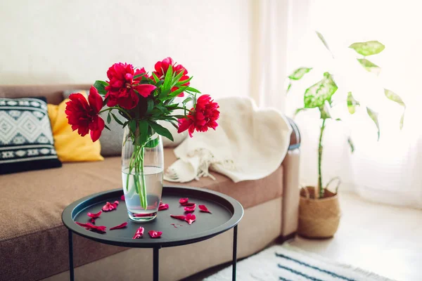 Innenraum des Wohnzimmers mit Blumen, Pflanzen und Teppich dekoriert. Gemütliche Couch mit Kissen und Tisch — Stockfoto