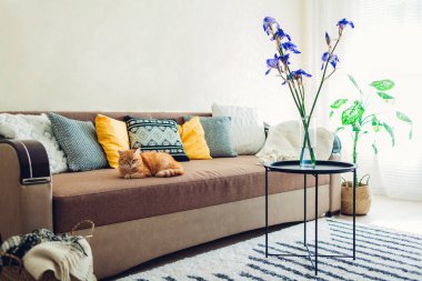 Mor çiçeklerle oturma odasında kanepede yatan zencefil kedi