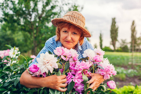 Старшая женщина собирает и нюхает цветы в саду. Пожилая женщина в отставке обнимает пионы
