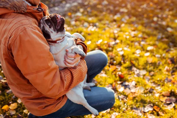 Maître tenant chiot chiot dans les mains dans le parc d'automne. Chiot heureux regardant l'homme et montrant la langue . — Photo