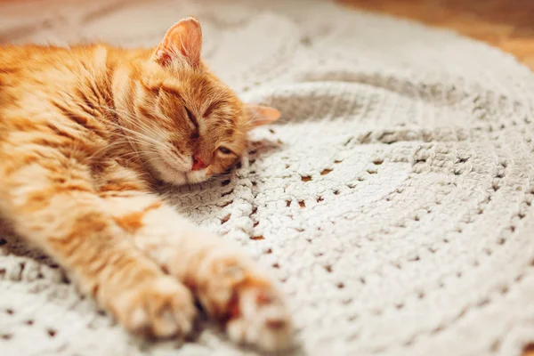 Ginger gato dormindo no sofá na sala de estar rodeado de almofadas — Fotografia de Stock