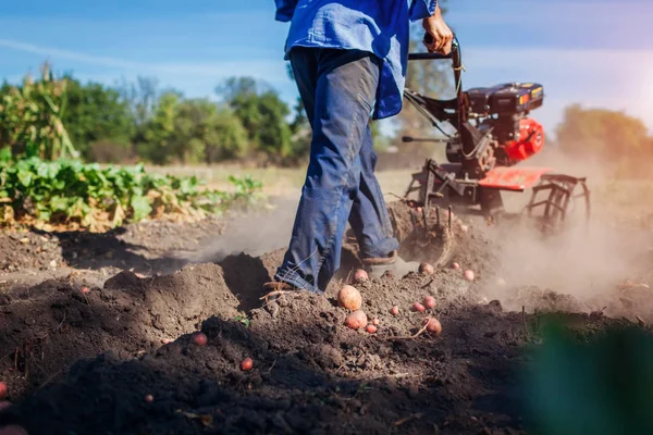 Zemědělec, který řídil malý tahač pro kultivaci půdy a kopání brambor. Podzimní sklizeň brambor — Stock fotografie