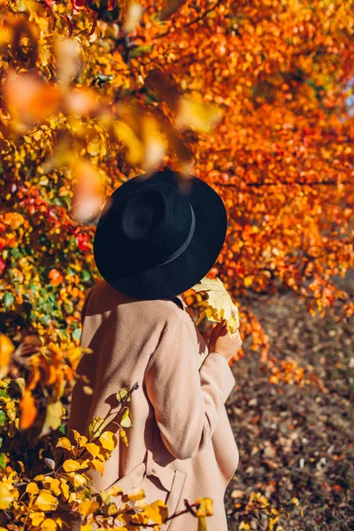 Vibrações de outono. Mulher jovem que anda na floresta de outono entre folhas que caem. Menina elegante usando chapéu e segurando folhas — Fotografia de Stock