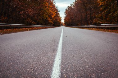 Sonbahar yolu ağaçlarla çevrili. Bulutlu sonbahar gününde içi boş otoyol.