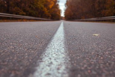 Sonbahar yolu ağaçlarla çevrili. Bulutlu sonbahar gününde içi boş otoyol.