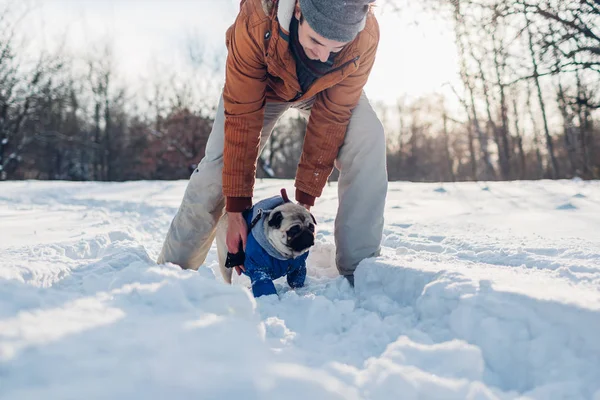 帕格狗和它的主人在雪地上散步。 人类在户外与宠物玩耍 — 图库照片