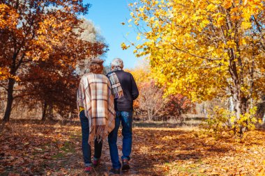 Sonbahar aktiviteleri. Sonbahar parkında yürüyen yaşlı çift. Orta yaşlı erkek ve kadın kucaklaşıp dışarıda takılıyor.
