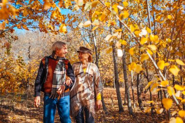 Sonbahar sezonu. Sonbahar parkında yürüyen yaşlı çift. Orta yaşlı erkek ve kadın kucaklaşıp dışarıda dinleniyorlar.