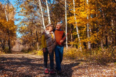Sonbahar yürüyüşü. Sonbahar parkında yürüyen yaşlı çift. Mutlu erkek ve kadın dışarıda konuşuyor ve dinleniyor.