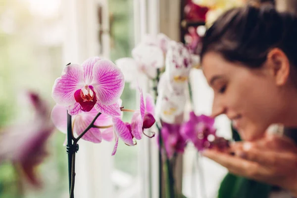 Женщина Нюхает Орхидеи Подоконнике Девушка Садовник Заботиться Домашних Растений Цветов — стоковое фото