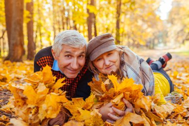 Sonbahar aile aktiviteleri. Kıdemli adam ve kadın sonbahar parkında yaprakların üzerinde yatıyor. İnsanlar dışarıda eğleniyor, doğanın tadını çıkarıyor.