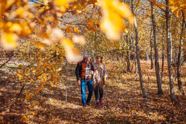 Sonbahar sezonu yürüyüşü. Sonbahar parkında yürüyen son sınıf aile çifti. Erkek ve kadın dışarıda dinleniyor, manzaranın tadını çıkarıyorlar.
