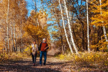 Sonbahar yürüyüşü. Sonbahar parkında yürüyen yaşlı çift doğaya hayran. Mutlu erkek ve kadın dışarıda konuşuyor ve dinleniyor.